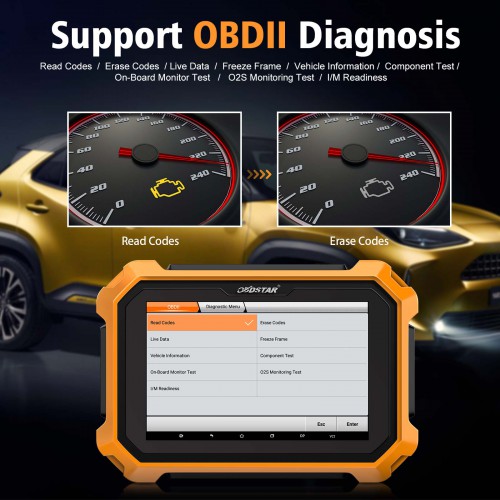 OBDSTAR X300 DP PLUS X300 PAD2  Full Version Supporter Mileage Correction + Maintenance Match Obtenez Mise à jour supplémentaire d'un mois